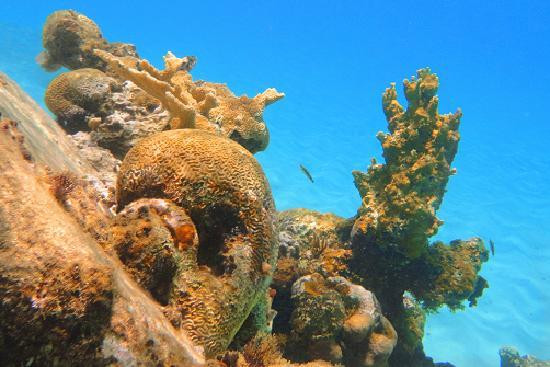 Devil's Bay National Park-维京果岛必去景点