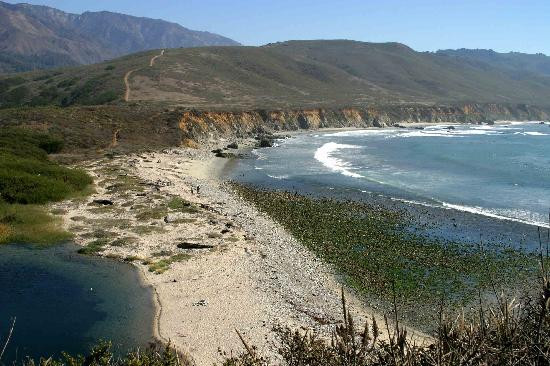 Andrew Molera State Park-大苏尔必去景点