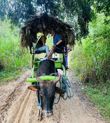 Travel Mo Lanka Tours-马塔拉必去景点