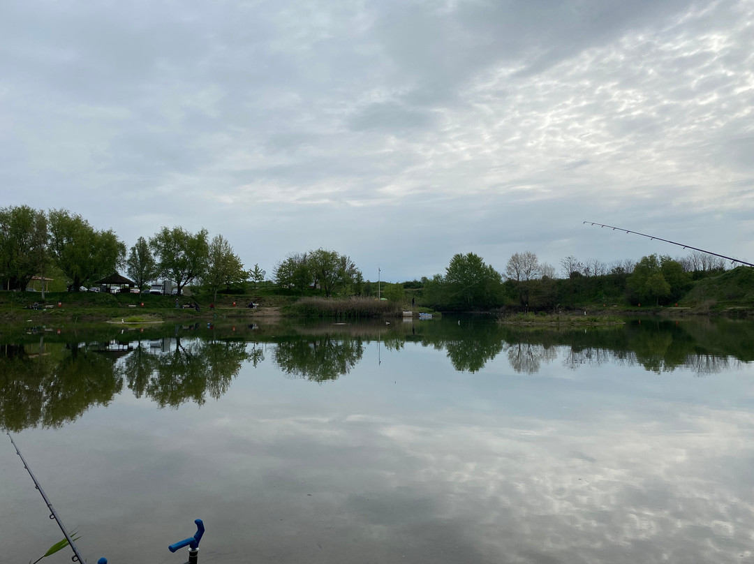 Feldioara Fishing Lake.景点图片