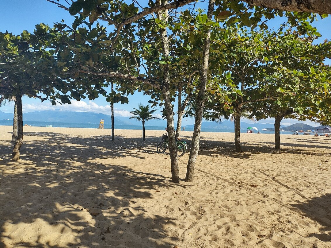 Praia da Cocanha景点图片