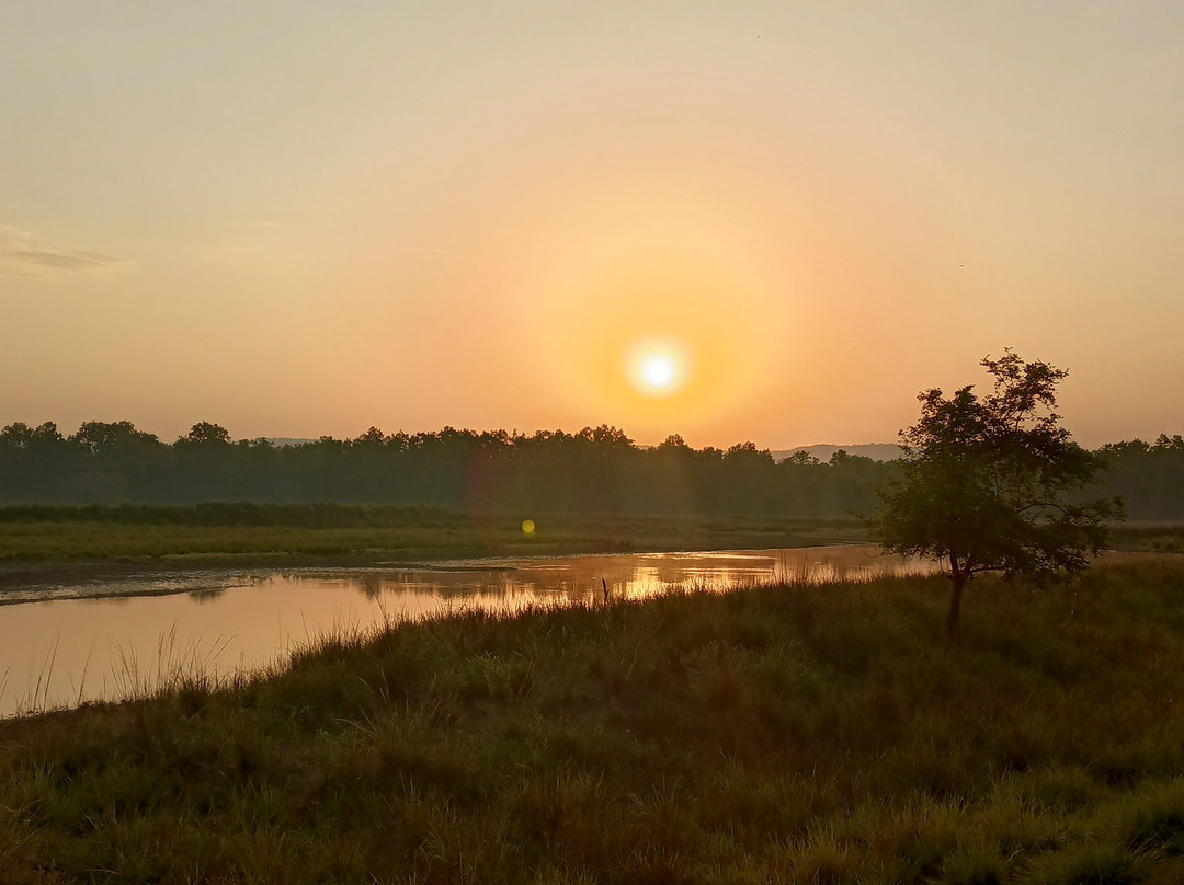 Singinawa Jungle Lodge主图