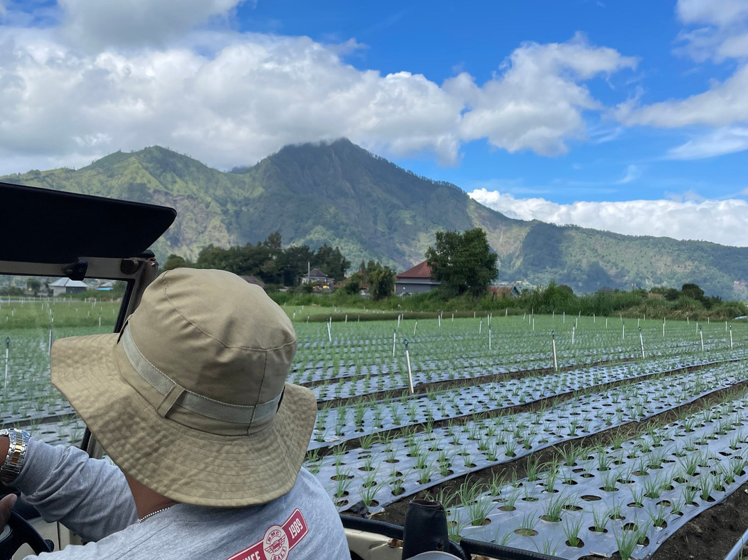 Santa Volkswagen Tour-Renon必去景点