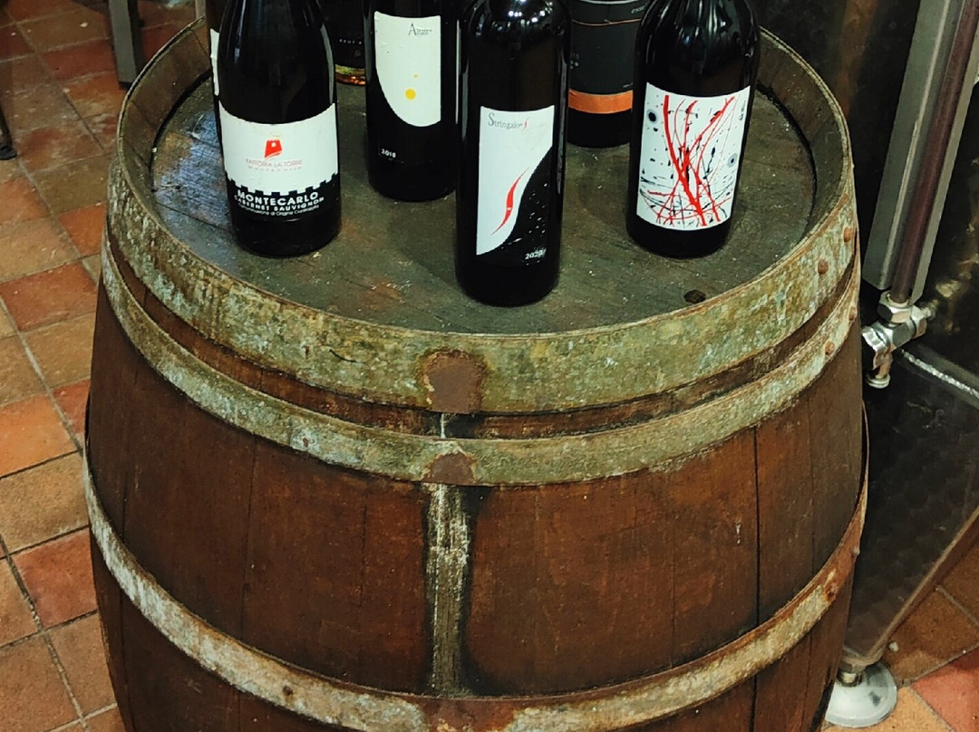 Agriturismo Fattoria Borgo la Torre主图