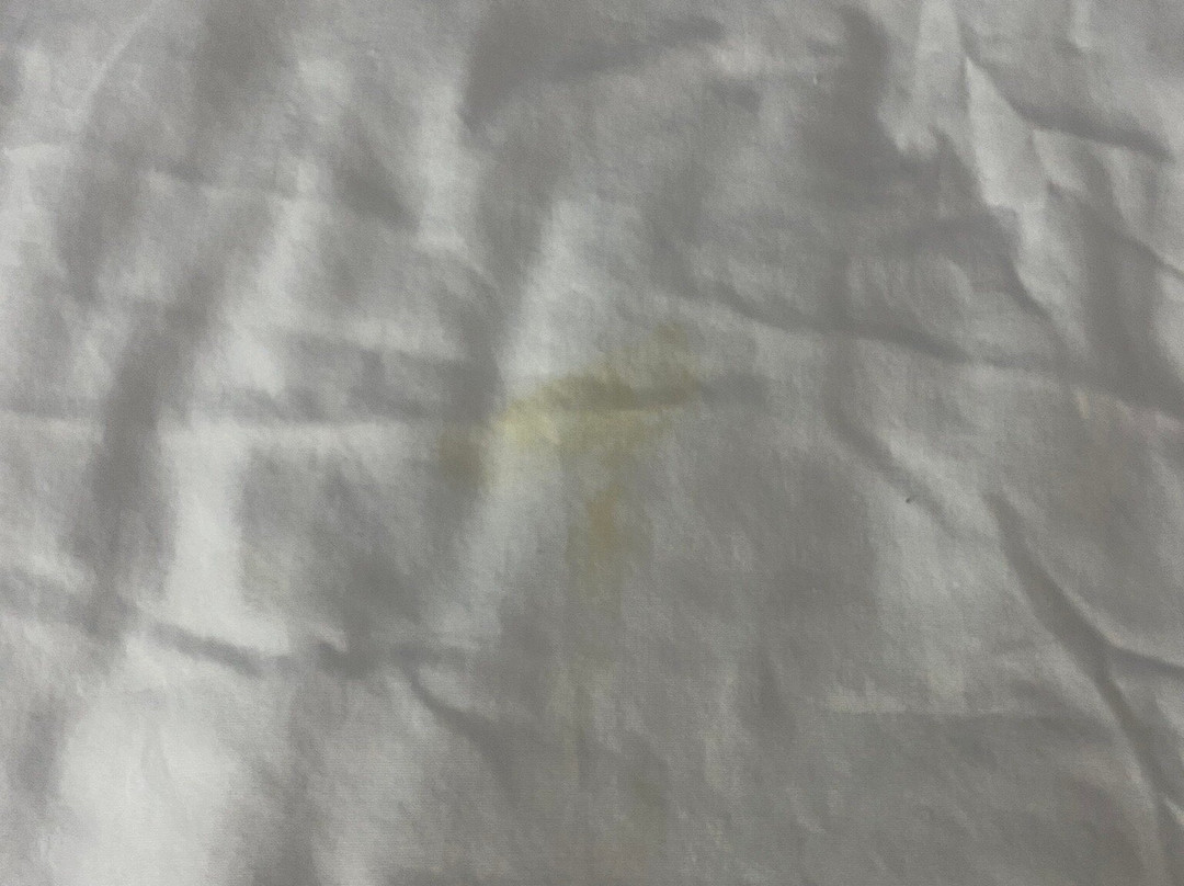 Super 8 by Wyndham Marion主图