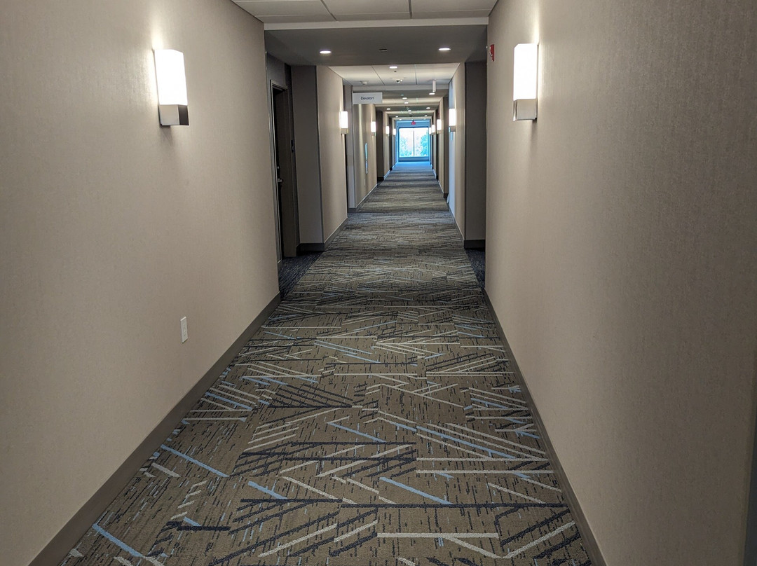 Holiday Inn Express & Suites Tomah By IHG主图