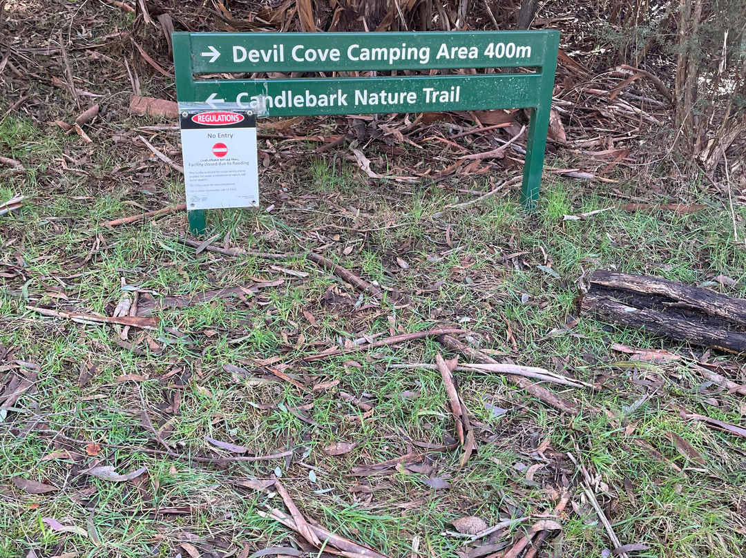 Candlebark Nature Trail-Eildon必去景点