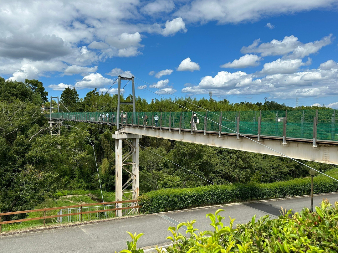 Harvest Hill-坂井市必去景点