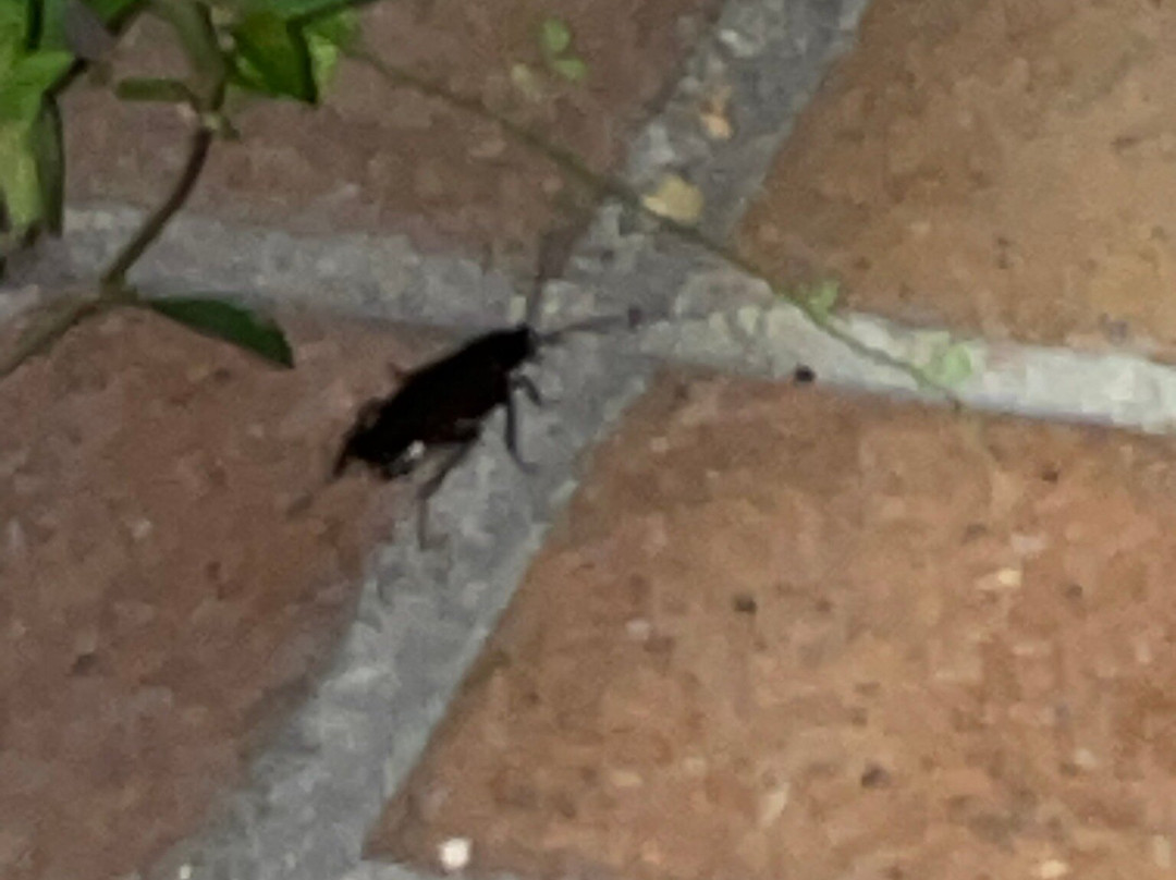 Waterway Lodge主图