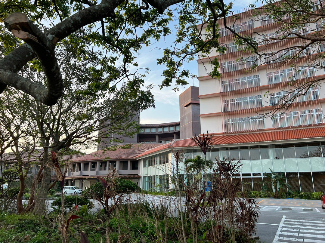 南城南条酒店主图