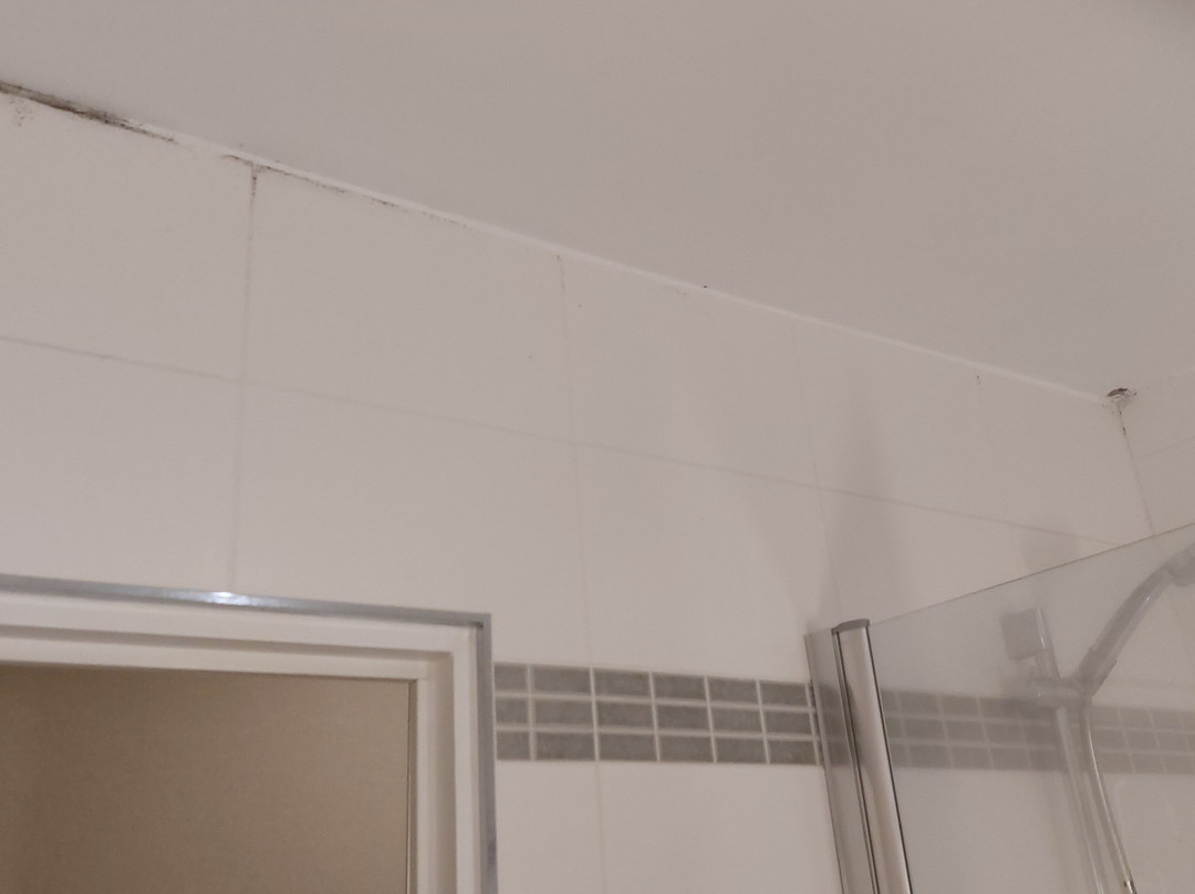 Hôtel Du Parc主图