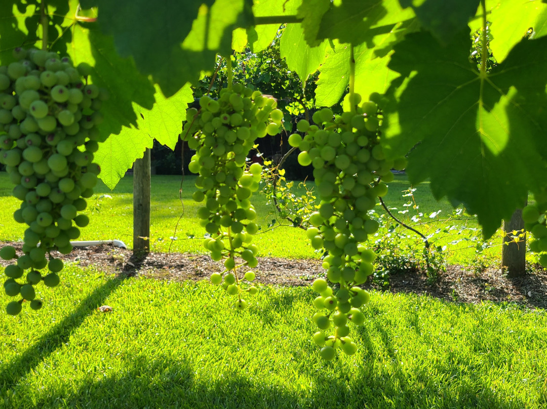 Junavelli Winery Llc-Brewton必去景点