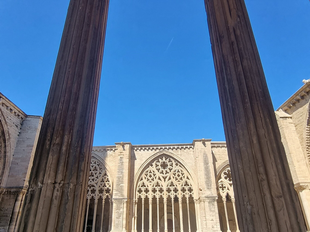 La Catedral Vieja景点图片