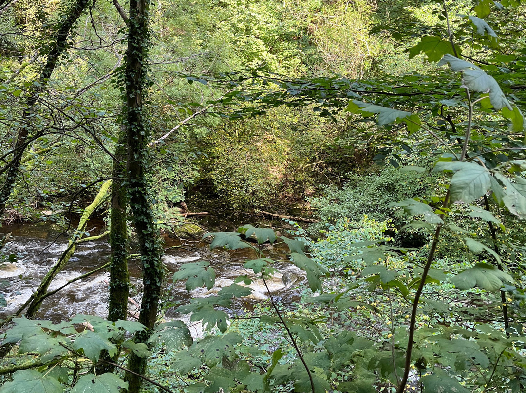 Watersmeet House景点图片
