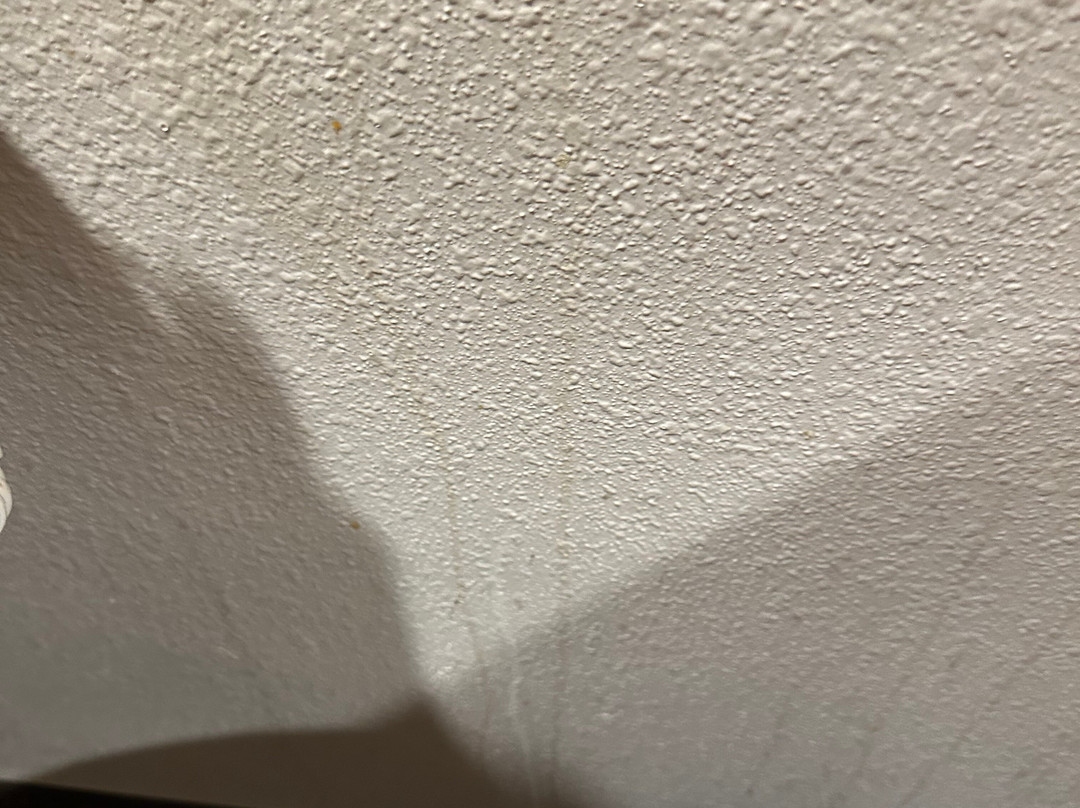 WoodSpring Suites Richmond Fort Lee主图