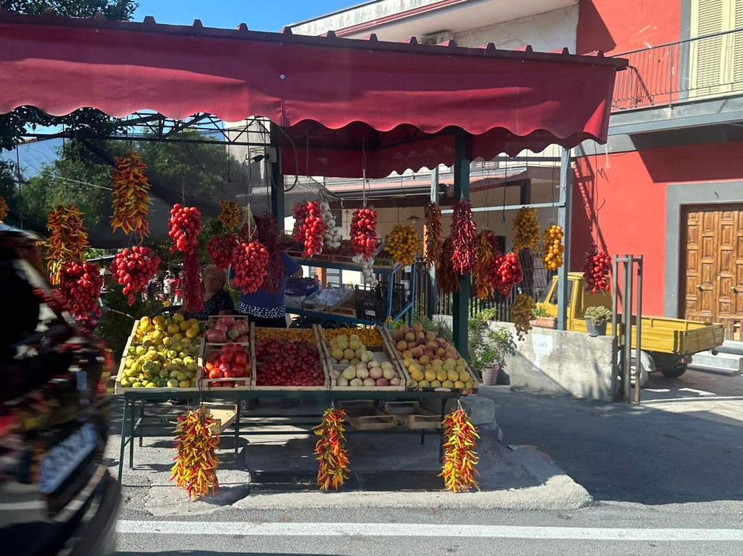 Wine Tour Amalfi Coast-阿马尔菲必去景点