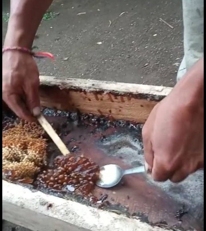 Honeybee Farm & Luwak Coffee Agrotourism-登安南必去景点