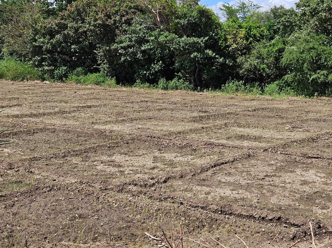 Rundugai Cultural Tourism Enterprise-莫西必去景点