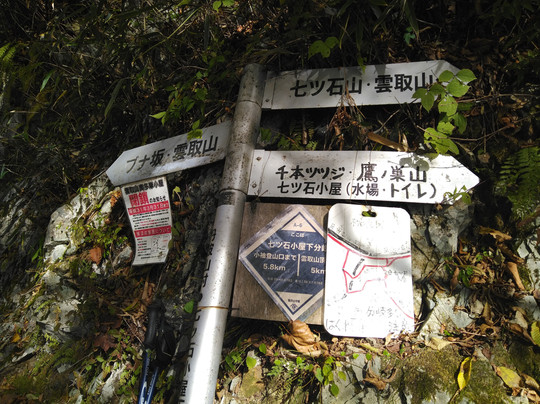 Mt. Kumotori-奥多摩町必去景点