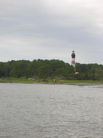 Chincoteague Cruises & Nature Tours-钦科蒂格岛必去景点