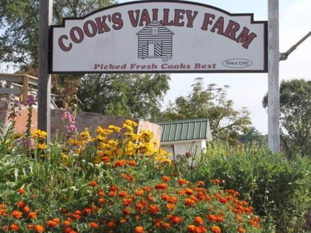 Cook's Valley Farm景点图片