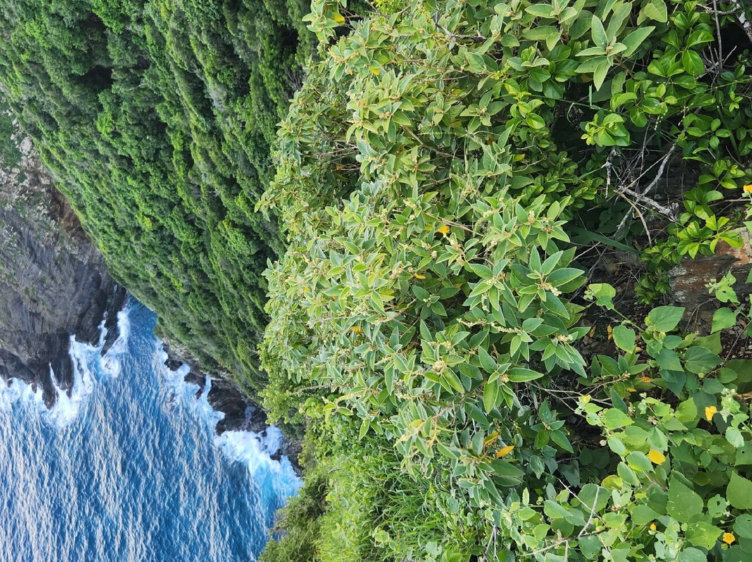 Hams Bluff Lighthouse-圣克鲁斯必去景点