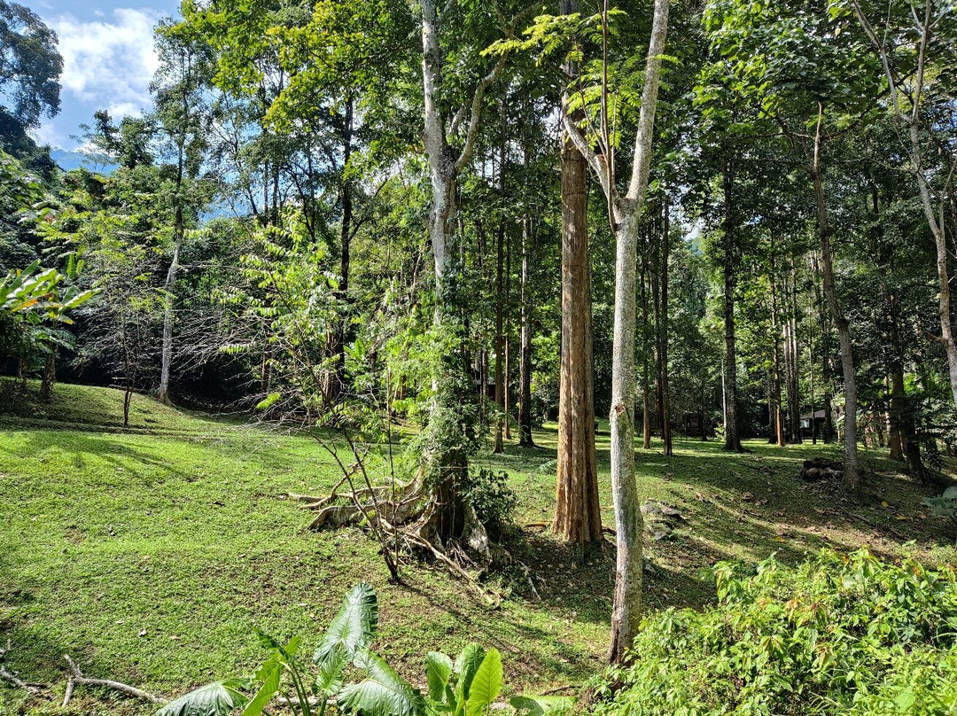 Doi Luang National Park-攀县必去景点