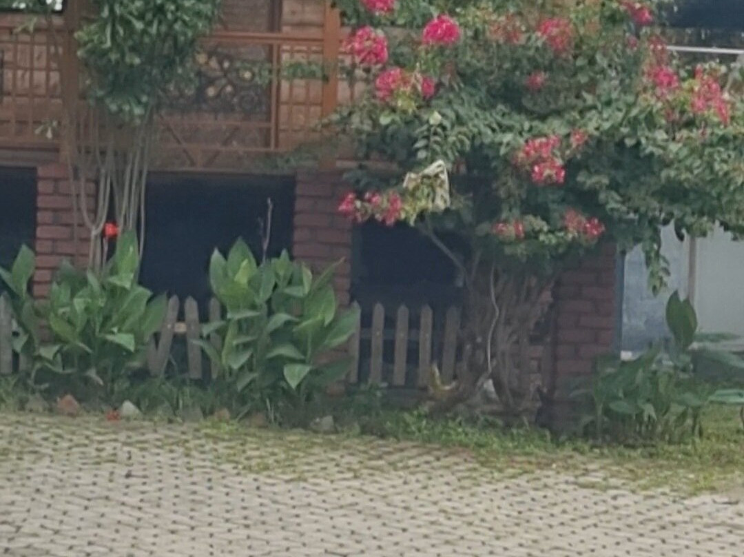 Misty Wood Resorts & Restaurants主图