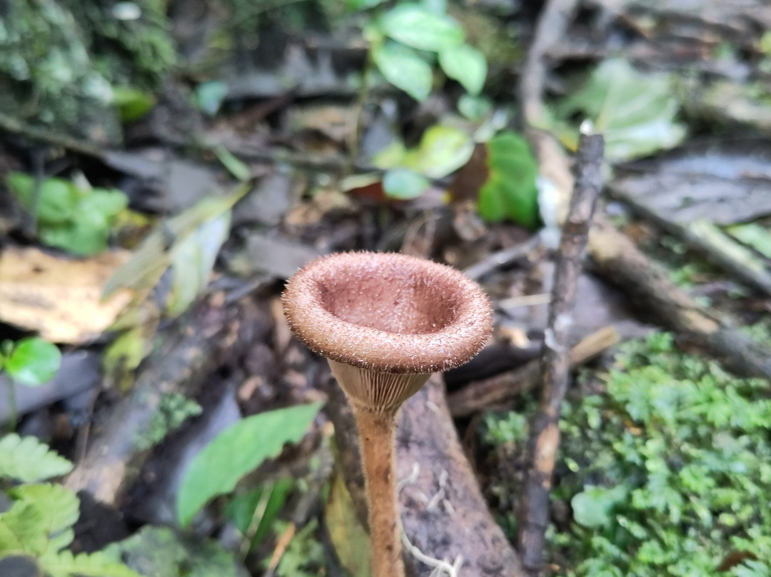 Isecheno Blue Shouldered Guest House主图