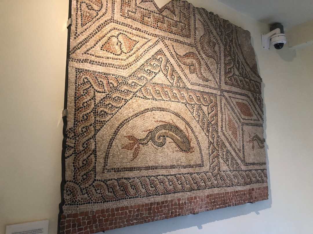 Winchester City Museum景点图片