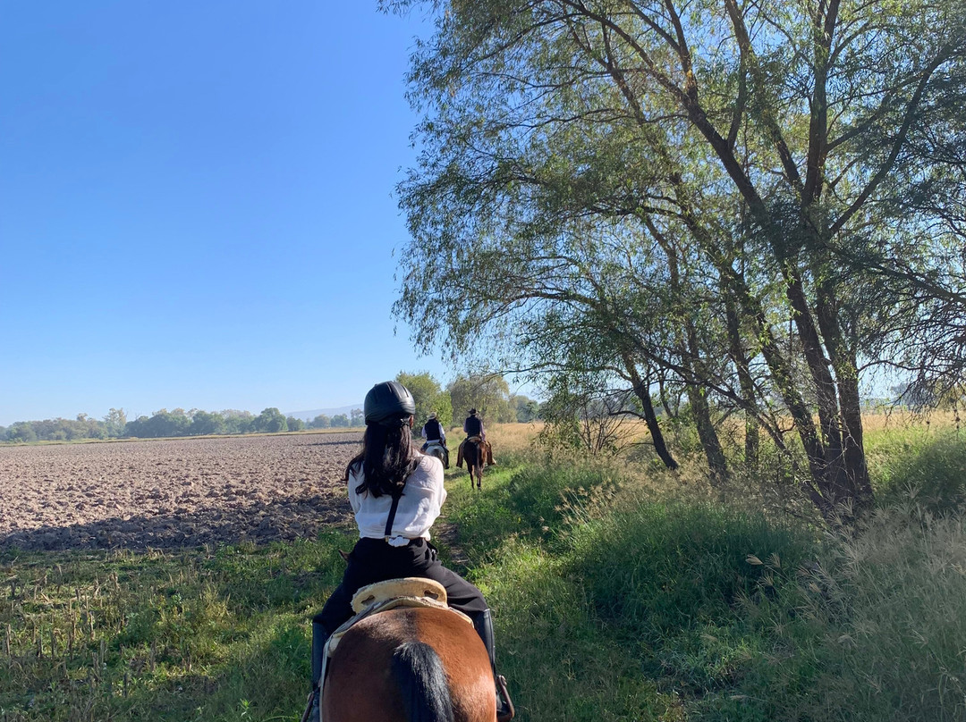 Cabalgatas Las Haciendas Horseback Adventures-Lagos de Moreno必去景点