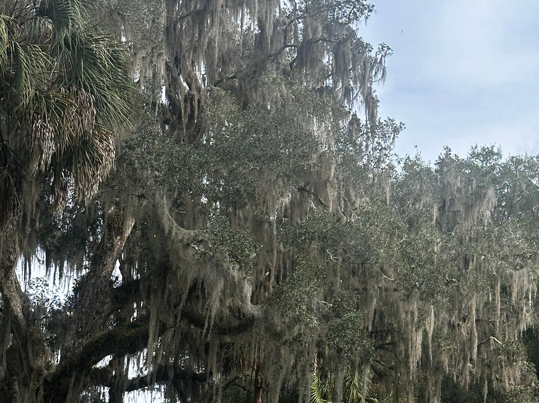 奥卡拉银泉智选假日套房酒店主图