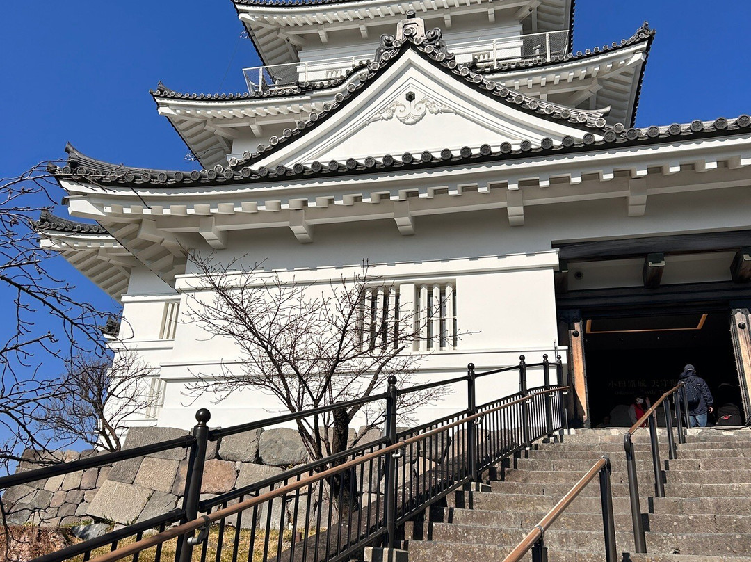 Odawara Castle Tenshukaku景点图片