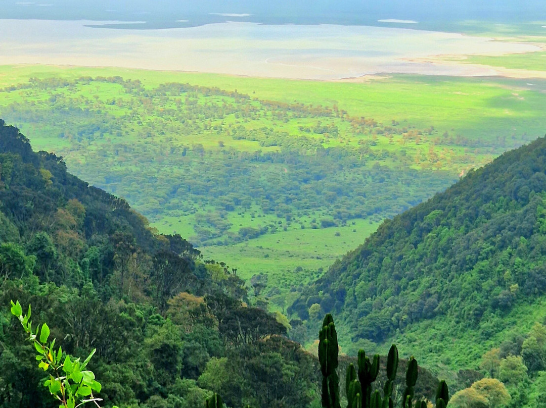 Volcano Tanzania Adventures-阿鲁沙必去景点