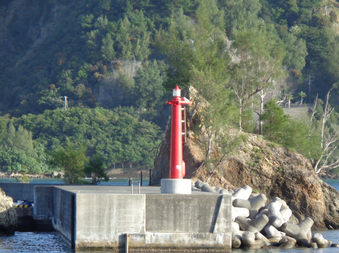 Red Lighthouse景点图片