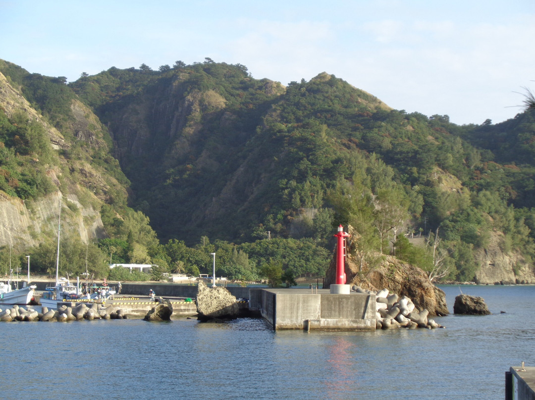 Red Lighthouse景点图片