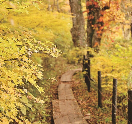 Lake Matsubara-小海町必去景点