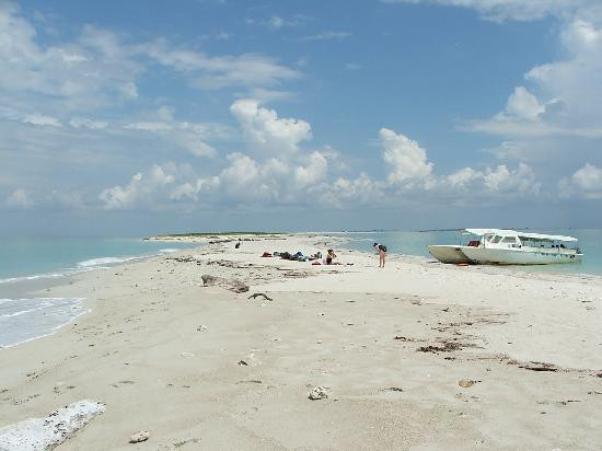 Borneo Survivor Resort