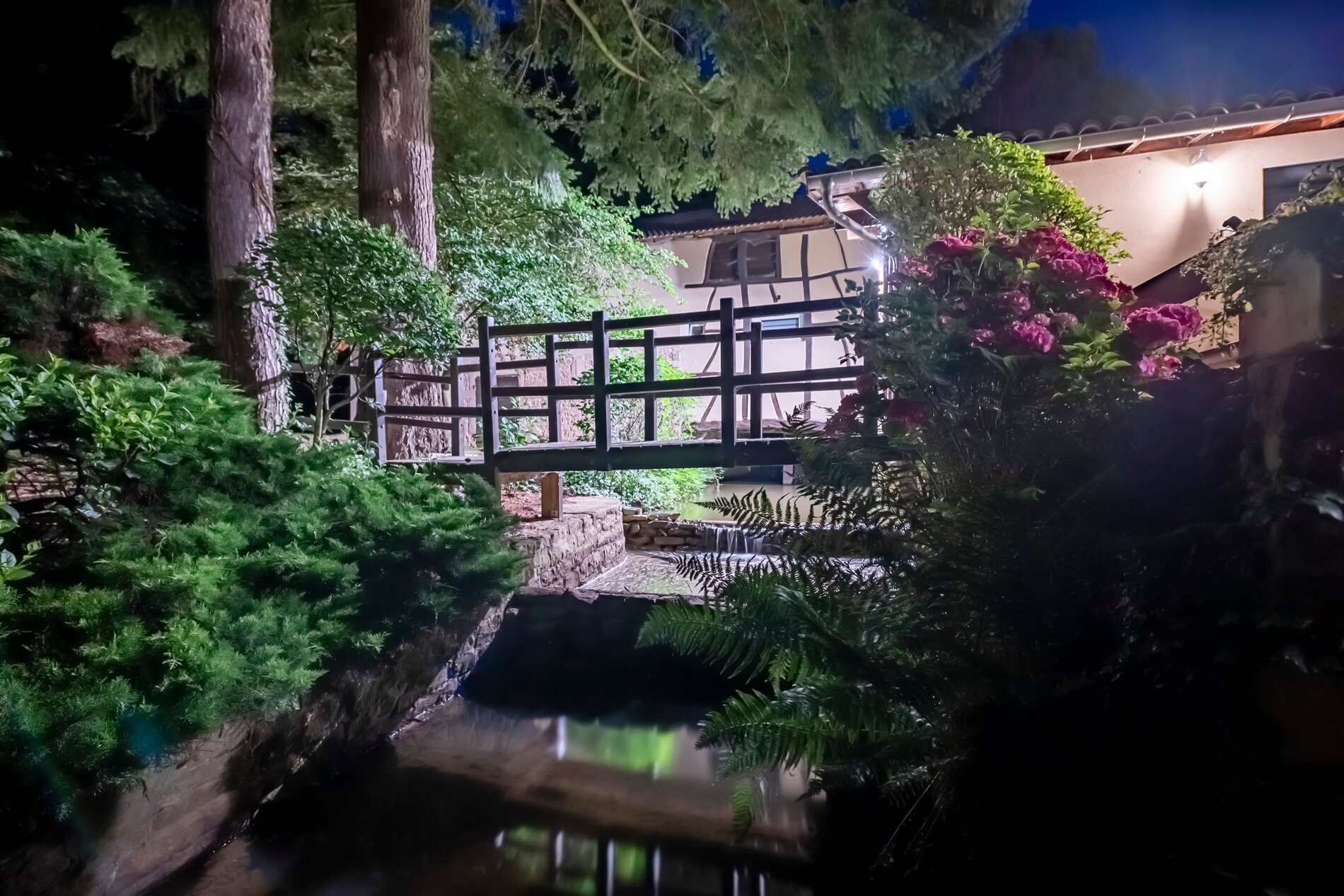 Hôtel Du Moulin De La Brevette-浴室