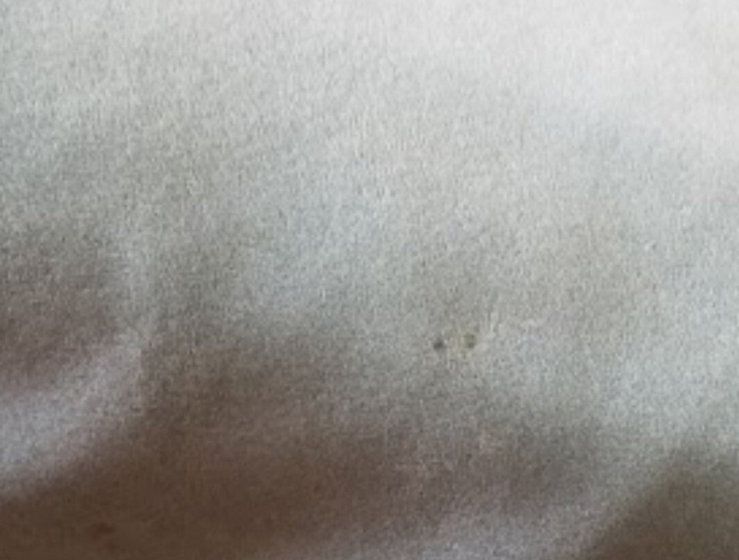 Super 8 by Wyndham Paris IL主图