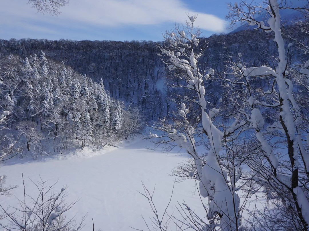 Niseko Snowshoe Tours-俱知安町必去景点