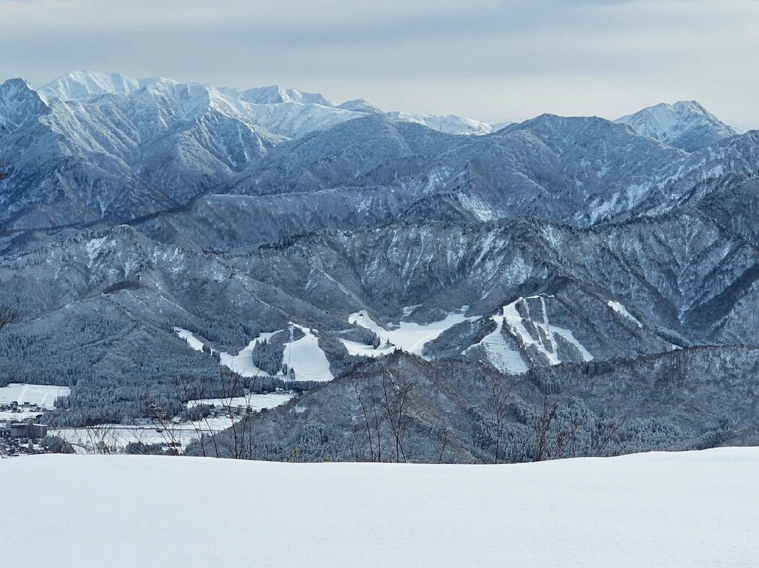 Yuzawa Kogen景点图片