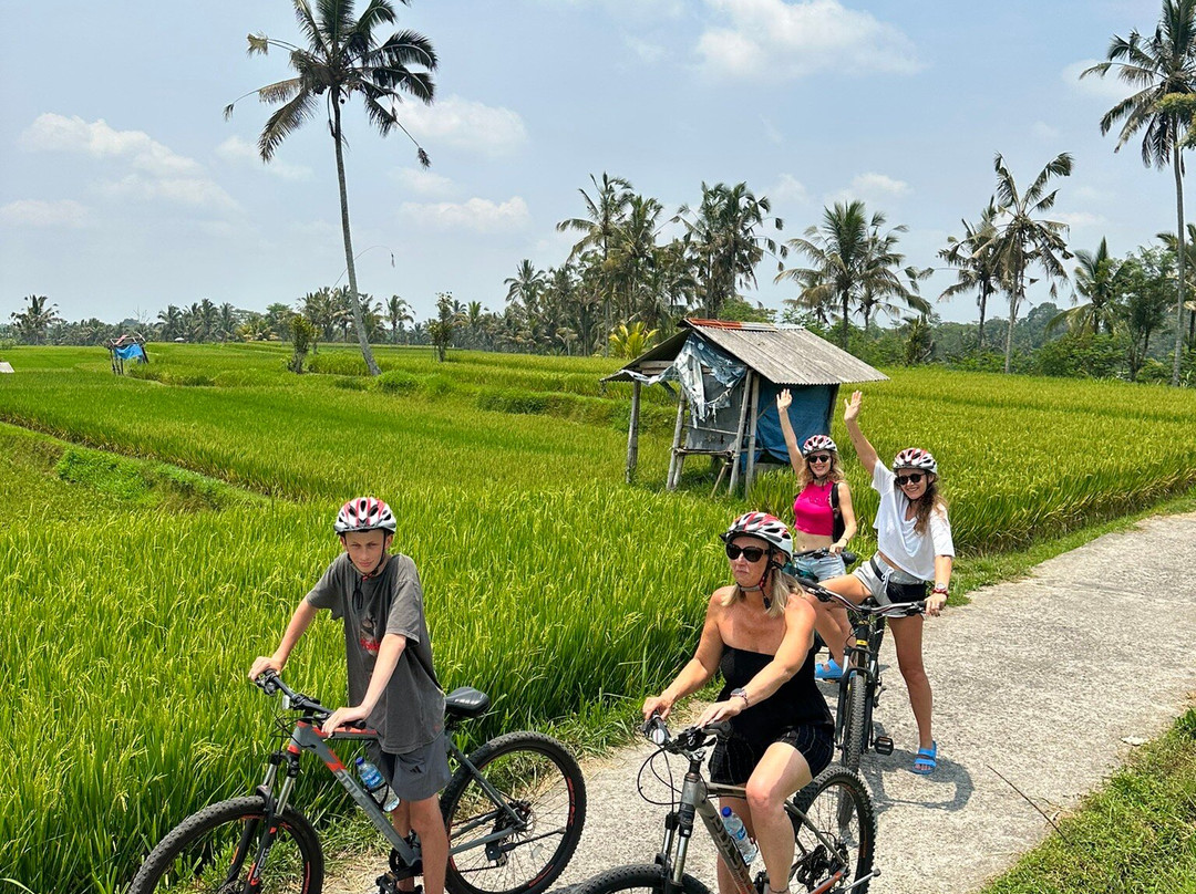 Bali Great Bike Tour-吉安雅必去景点