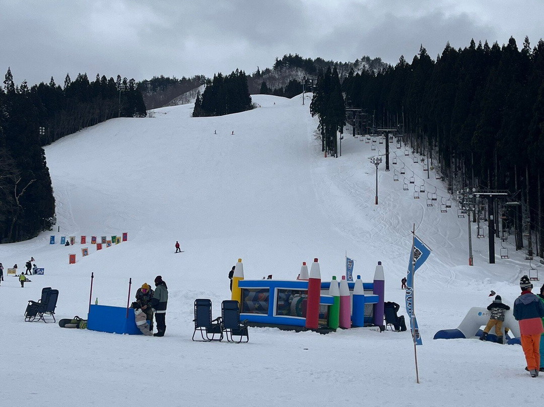 Yuzawa Park Ski Resort景点图片