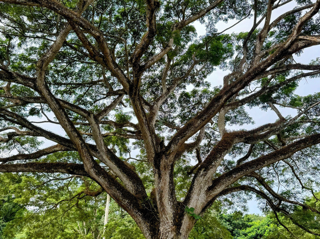 Hacienda la Suerte-拉斯特拉纳斯必去景点