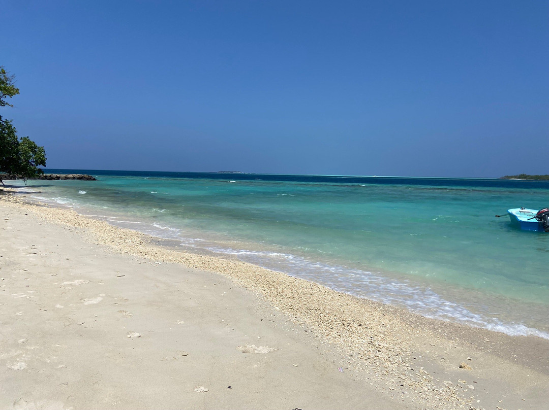 Fins Dive and Leisure Hotel主图