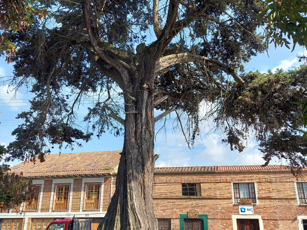 Parque Central Subachoque-Subachoque必去景点