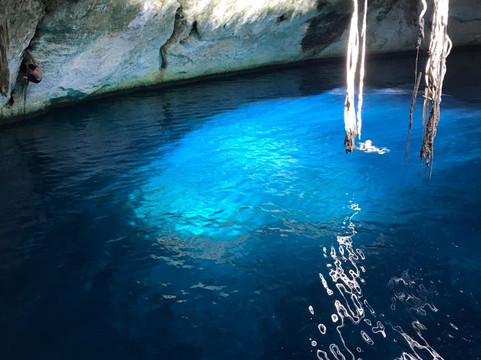 Yucatan Dive Center-梅里达必去景点