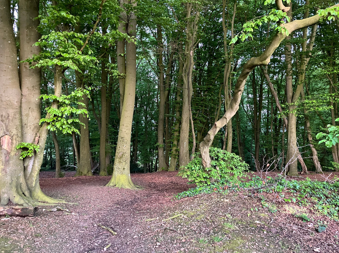Camping Oosterberg