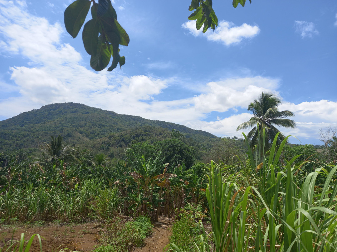 Sendero Los Ricardos-Banes必去景点